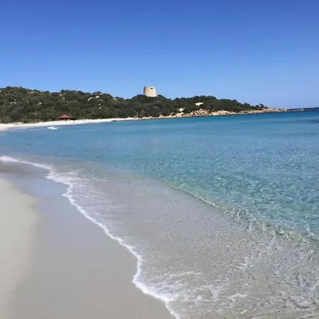 Sardinian-style Near