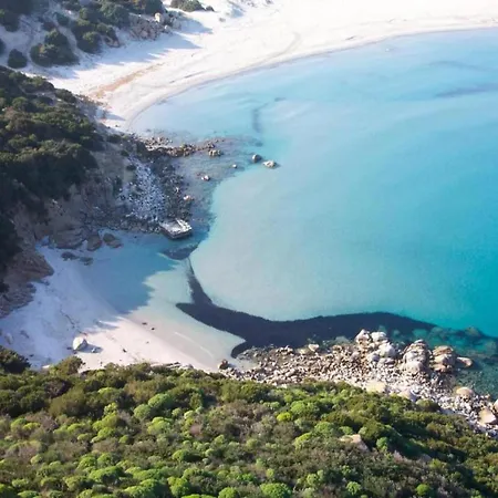 Sardinian-style Near