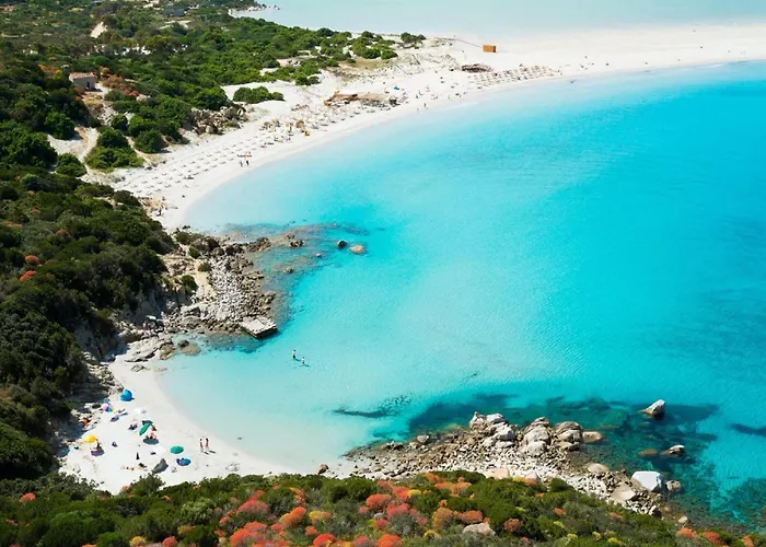 Sardinian-style Near