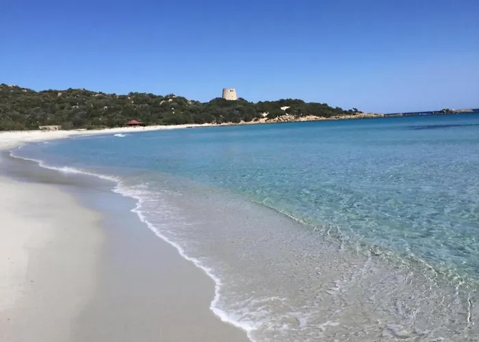 Sardinian-style Near