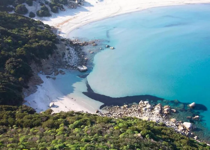 Sardinian-style Near